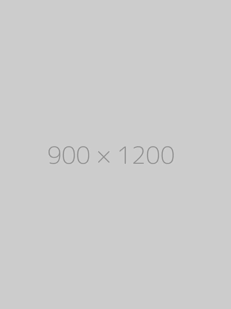 hongo 900x1200-ph